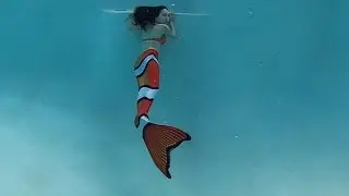 Fin Fun Mermaid Nemo(Clownfish) Tail