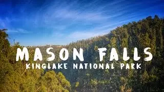 Day Hike | Masons Falls Mount Sugarloaf Kinglake National Park