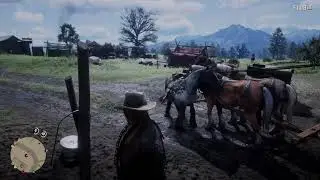 Red Dead Redemption 2 Horsing around 02