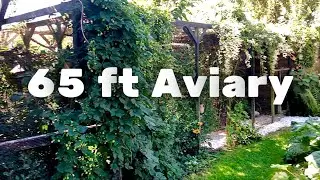 65 feet Finch AVARY WALK | Bird Aviary