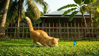 Cute Bangladeshi Village Cat Playing in Sunny Yard 🐱 | Peaceful Village Life
