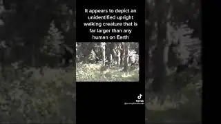 Bigfoot in the blue mountains of Oregon