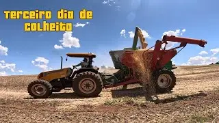 TERMINAMO DE COLHER A SOJA DO VIZINHO E JÁ COMEÇAMO NA NOSSA | quebrei o hidráulico do marelo 🤦🏻