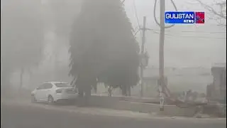 Dense fog grips Jammu, visibility drops