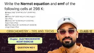 Write the Nernst equation and emf of the following cells at 298 K: