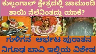 ಪುರಾತನ ನಿಗೂಢ ಬಾವಿಇಲ್ಲಿಯ ವಿಶೇಷ kulangal Story #santhumangalore #tulunad #youtubeshorts 
