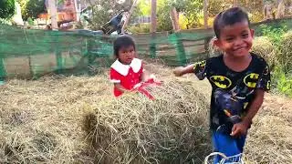 សួនបន្លែស្រុកស្រែ #rurallife #ruralgarden #បន្លែស្រែ #countrysideviews #vegetables #goodincambodia##