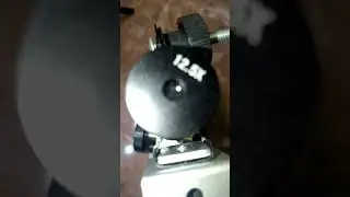 zoom pasta gigi lewat mikroskop#zoomx1000 #microscope #fyp #reels #shorts #mikroskop #pastagigi