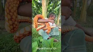 Laugh Out Loud at These Hilarious Snake Prank Reactions! #shorts #fyp #video