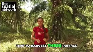 Imperialism Exposed: Land, Loans, and Exploitation Revealed #shorts