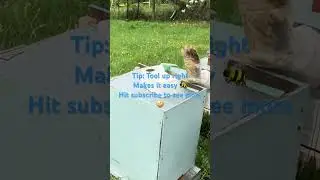 This Tool Makes Hive Insulation Removal WAY Easier ⚡🐝 | Beekeeping