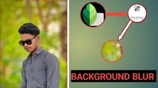 Snapseed: The Best Background Blur Techniques (Bokeh Effect)