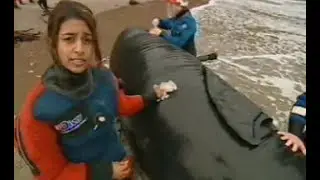 CRRU on BBC Blue Peter