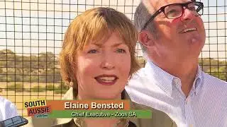 Monarto Safari Park