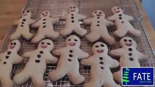 Fate Low Protein Gingerbread Men and Christmas Tree Biscuits