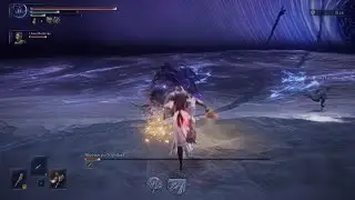 ELDEN RING NIGHTREIGN: DLC rememberance runs pt3, end of Undertakers Quest
