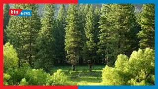 Conservation efforts: Stakeholders urged to change the culture on climate change accelerated by man