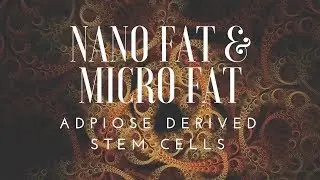 Nano Fat & Micro Fat - Adipose Derived Stem Cells