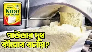 কাঁচা দুধ থেকে গুড়ো দুধ তৈরির চমকপ্রদ প্রক্রিয়া 🔥 | How Milk Powder is Made in a Factory