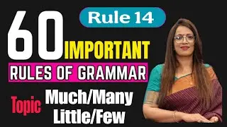 Rule 14: Uses of Much, Many, Little, and Few | 60 Grammar Rules Explained