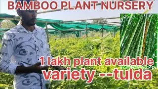  &ldquo;Grow Bamboo Tulda &ndash; High Demand, High Income&rdquo; ||