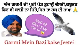 ਗਰਮੀ ਦੀ ਖੇਡ ਅੱਜ ਕਿਤਾਬ ਵਾਂਗੂੰ ਖੋਲਤੀ 😱 | Isse Agge Kboterbazi The End Hai || @pigeonunpluged