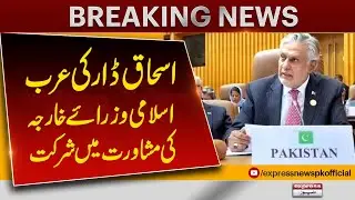 Ishaq Dar Joins Arab-Islamic Foreign Ministers&rsquo; Consultation | Breaking News | Pakistan News