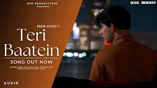 Teri Baatein: Official Audio | Rohan Kapoor | Rohit Kapoor | Monika Vohra | Visualizer | RSK Music