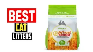 ✅Top 5 Best Tested Eco Friendly Cat Litters in 2025