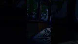 Deep Sleep in the Car 🚗🌧️ | Cozy Rain Sounds