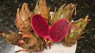 Dragon fruits Tricia and Asunta 6 comparison. 