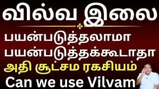 வில்வ இலை கிடைத்தால் விடாதீர்கள்/ அதிசூட்சம ரகசியம்/ Can we use Vilva leaf #mahasreerajhan