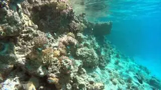 Tokelau Atafu Reefs