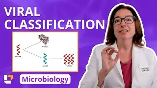Viral Classification: Microbiology Acellular for Pre-Nursing / Pre Med Students | @LevelUpRN