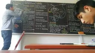 REFORMAS BORBÓNICAS