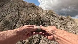 September 2025 Fossil Hunt in the Colorado Book Cliffs #fossils #grandjunction