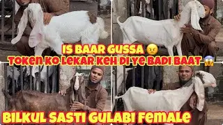 Stock Clearance Sale💥 || Saste mein Patira Hydpat female Aur Hyderabadi Kid At Raees Bhai #patira 