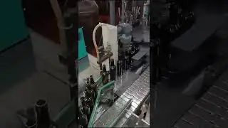 Bordeaux Glass Wine Bottles Bulk