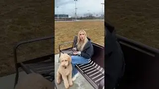 Поблагодаришь меня позже #собака #смешнаясобака #знакомства