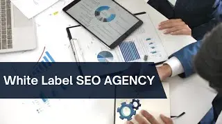 White Label SEO Services Agency | Best Private Label SEO Company 2024