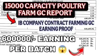 15000 Birds से ₹631843 Profit😱 IB Company Contract Farming मै 15000 बर्ड से इतना Payment मिला💥
