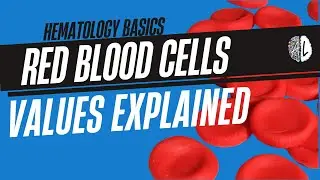 Red Blood Cell Values Explained | Normal Ranges, RBC Tests & What They Mean