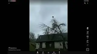 Watch it in playlist