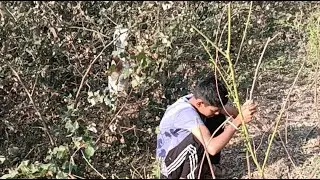 🌾 Jay Shree Krishna 🙏 | आज शेतात दिवसभर कष्ट 💪 | खरी शेतकऱ्याची लाईव्ह जिंदगी 🚜
