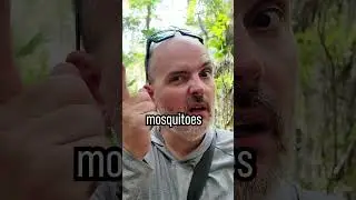 Комары УБЬЮТ вас, 💀 но этот трюк спасёт вам жизнь! #выживание