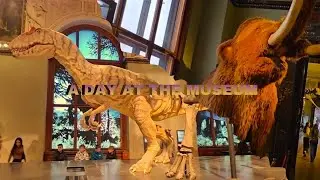 A day at the Museum | Natural History Museum Vienna