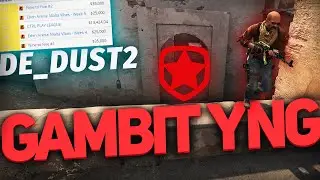 АТАКА на КАРТЕ DUST2 / Gambit Youngsters / CS:GO