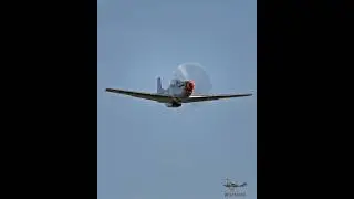 P-51 Mustang Bob Hoover roll #vintageaircraft #aircraft #mustang #vintagewarbirds #warbirds
