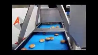 Affeldt Fully Automatic Bakery Vision Counting, Packaging & Case loading System