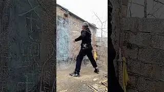 Double Dagger Training#KungFu #martialarts